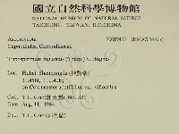 登錄號:F0019439藏品圖，第2張