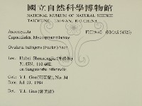 登錄號:F0019440藏品圖，第2張