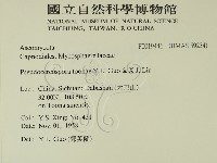 登錄號:F0019446藏品圖，第2張