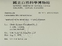 登錄號:F0019447藏品圖，第2張