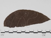 登錄號:F0019447藏品圖，第3張