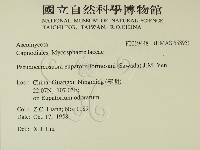 登錄號:F0019448藏品圖，第2張