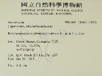 登錄號:F0019449藏品圖，第2張