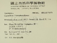 登錄號:F0019450藏品圖，第2張