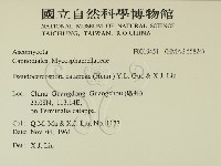 登錄號:F0019451藏品圖，第2張