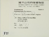 登錄號:F0019452藏品圖，第2張