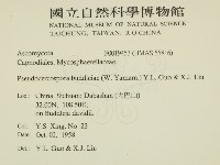 登錄號:F0019453藏品圖，第2張
