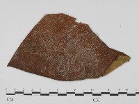 登錄號:F0019459藏品圖，第3張