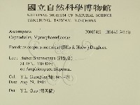 登錄號:F0019461藏品圖，第2張