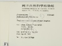 登錄號:F0019462藏品圖，第2張