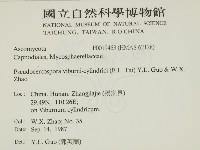 登錄號:F0019463藏品圖，第2張