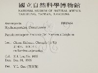 登錄號:F0019464藏品圖，第2張