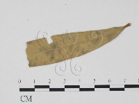 登錄號:F0019465藏品圖，第3張