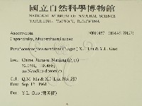登錄號:F0019467藏品圖，第2張