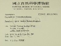 登錄號:F0019468藏品圖，第2張