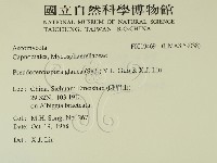 登錄號:F0019469藏品圖，第2張