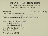 登錄號:F0019472藏品圖，第2張