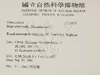 登錄號:F0019473藏品圖，第2張