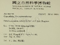 登錄號:F0019475藏品圖，第2張
