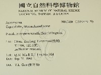 登錄號:F0019480藏品圖，第2張