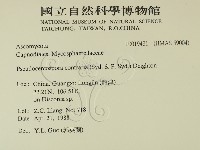 登錄號:F0019481藏品圖，第2張
