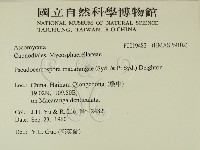 登錄號:F0019482藏品圖，第2張