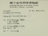 登錄號:F0019483藏品圖，第2張