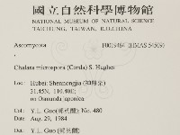 登錄號:F0019484藏品圖，第2張