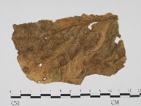 登錄號:F0019485藏品圖，第1張