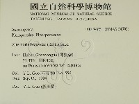登錄號:F0019486藏品圖，第2張