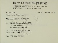 登錄號:F0019487藏品圖，第2張