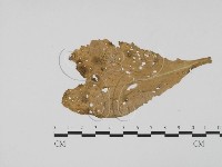 登錄號:F0019487藏品圖，第3張