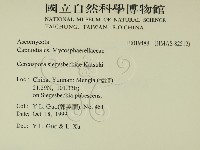 登錄號:F0019488藏品圖，第2張