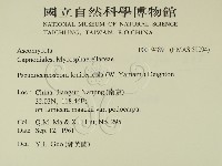 館號:F0019489藏品圖，第2張