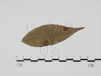 登錄號:F0019490藏品圖，第3張