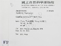 登錄號:F0019491藏品圖，第2張