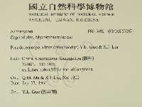 登錄號:F0019492藏品圖，第2張