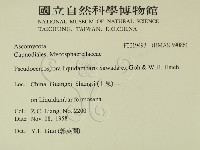 登錄號:F0019493藏品圖，第2張