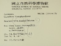 登錄號:F0019496藏品圖，第2張