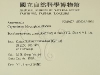 登錄號:F0019497藏品圖，第2張