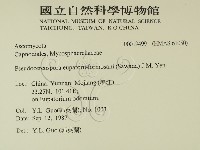 登錄號:F0019499藏品圖，第2張