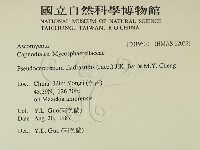 館號:F0019500藏品圖，第2張
