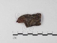 登錄號:F0019501藏品圖，第1張