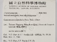 登錄號:F0019502藏品圖，第2張
