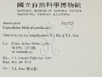 登錄號:F0019503藏品圖，第2張