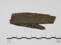 登錄號:F0019504藏品圖，第3張
