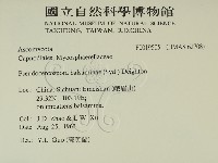 登錄號:F0019505藏品圖，第2張