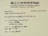 登錄號:F0019509藏品圖，第2張