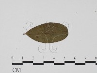 登錄號:F0019509藏品圖，第3張