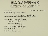 登錄號:F0019512藏品圖，第2張